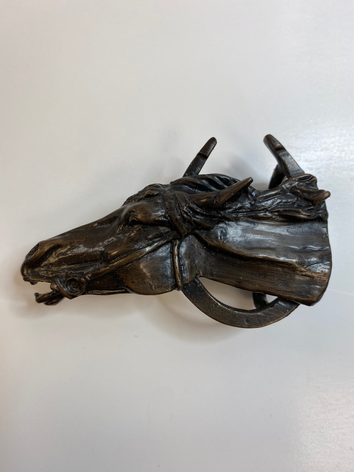 Horse Head / Horse Shoe